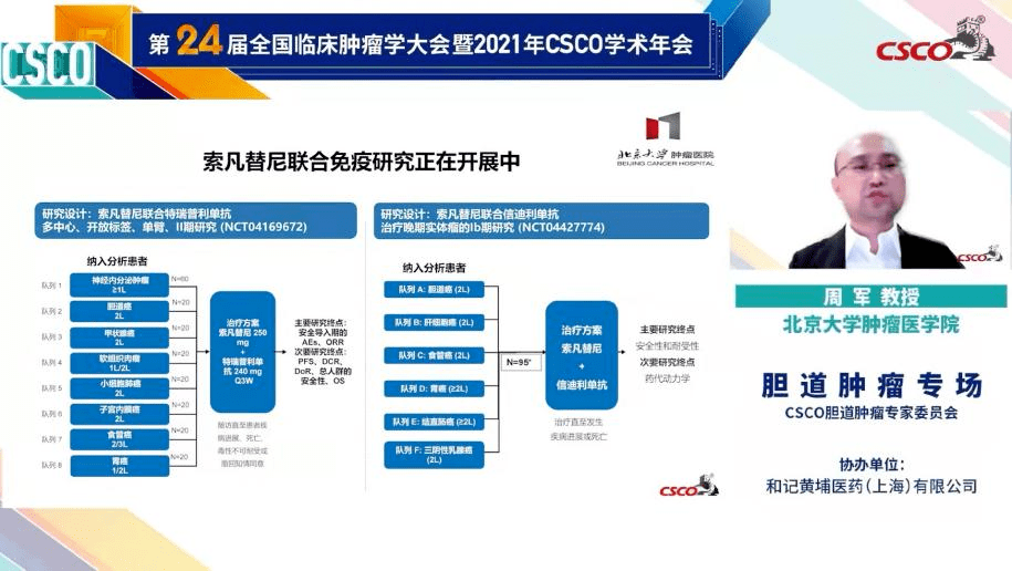 甲苯磺酸索拉非尼片_索拉非尼临床应用_索拉非尼多少钱