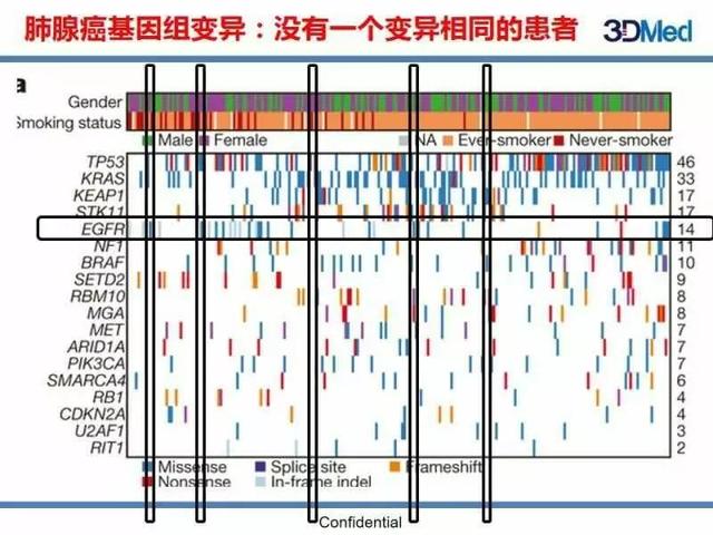 尼毕鲁杨祥吉的妻子_肝癌晚期吃索拉非尼_吉非替尼是晚期吃的吗