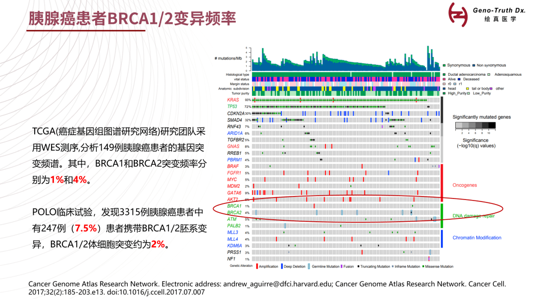 9291奥希替尼价格_化疗失败吃奥希替尼_奥希替尼印度版白盒