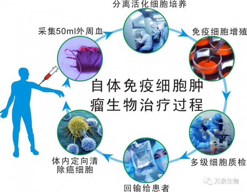 贝伐单抗和贝伐珠单抗_贝伐珠单抗 耐药性_贝伐珠单抗早期肠癌术后