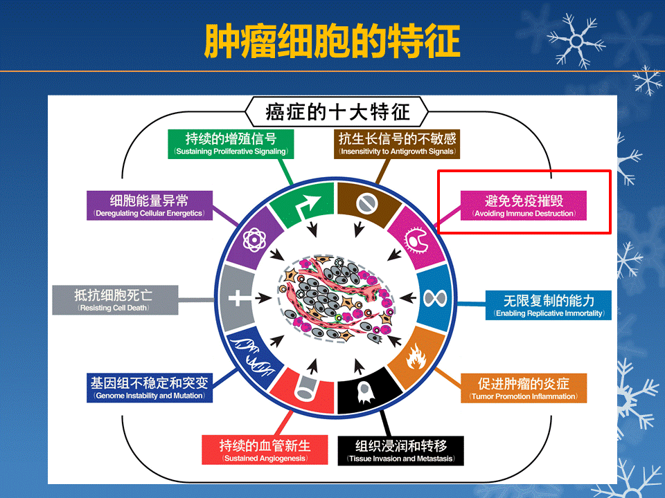 

晚期非鳞非小细胞肺癌（III期）临床推荐（VS贝伐珠单抗+化疗）
