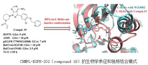 靶向药耐药后怎么办_奥希替尼耐药后靶向_奥希替尼多少钱一盒