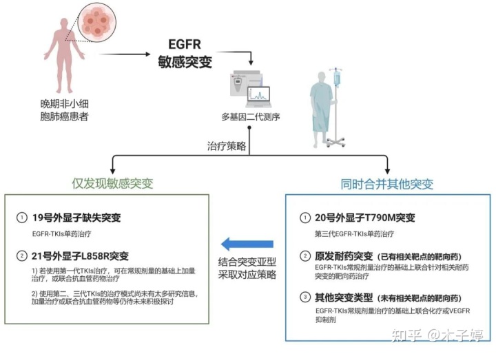 奥希替尼耐药后靶向_奥希替尼耐药后第四代靶向药_奥斯替尼和奥希替尼