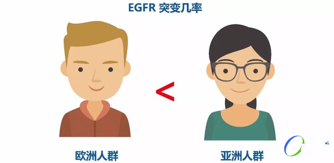 EGFR-TKI药物在术后辅助治疗领域的疗效和安全性