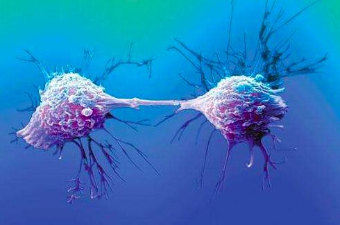 全球常见的妇科恶性肿瘤，靶向治疗可能成为更好的选择