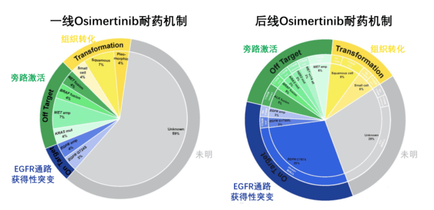 印度9291奥希替尼图片_奥希替尼会抗葯吗_奥希替尼印度版怎么买