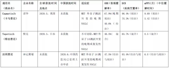 METMET靶点研究：2021年6月获批用于治疗MET外显子14跳跃突变的非小细胞肺癌