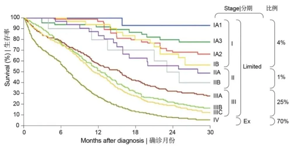 贝伐珠单抗与化疗顺序_贝伐单抗化疗后瘤体会缩小吗_贝伐单抗多久有耐药性