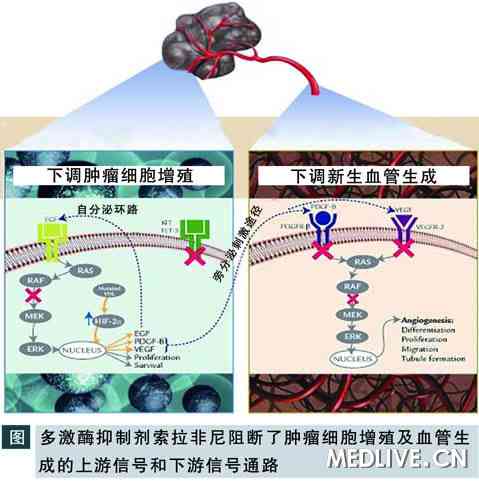 贝伐单抗和贝伐珠单抗_可瑞达联合贝伐珠单抗化疗_贝伐珠单抗是靶向药吗