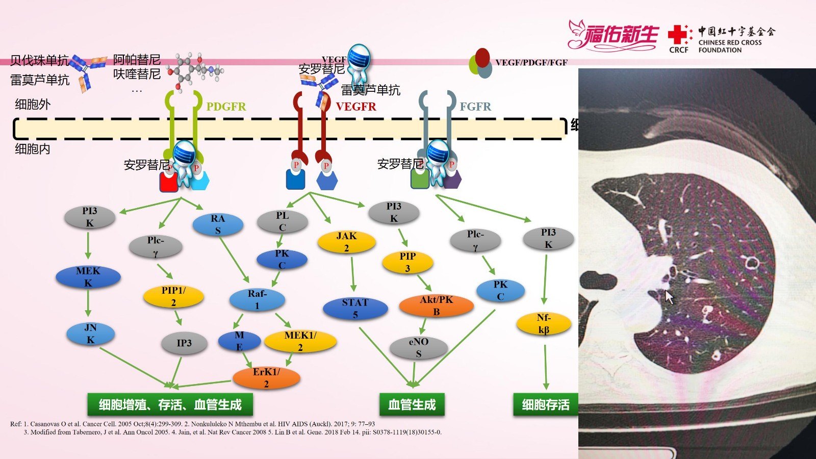 印度贝伐珠单抗价格_贝伐珠单抗 耐药性_贝伐珠单抗说明书