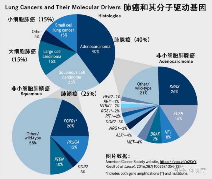 我在广州妇幼保健院做基因检测应挂什么科_吃吉非替尼用做基因检测吗_深圳wilson病可以做基因检测