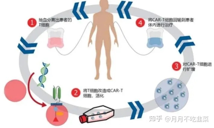 贝伐珠单抗是化疗药吗_肝癌与贝伐珠单抗_结肠癌晚期 贝伐珠单抗