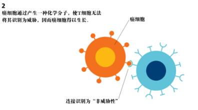 易点评：癌症治疗只会的特殊反应机制(图)