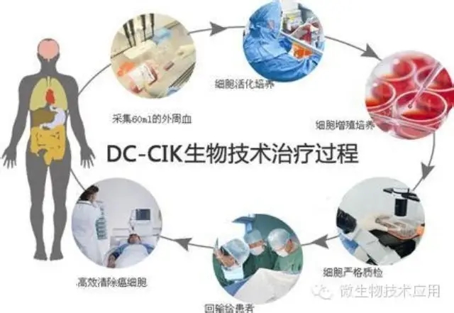 信达生物重组抗PD-1抗体联合抗血管生成抗体