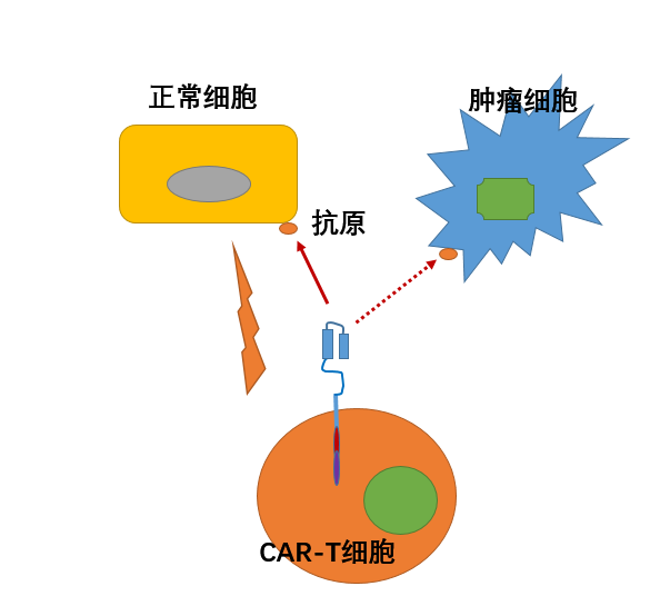 贝伐珠单抗_贝伐单抗联用pd1_西妥昔单抗贝伐单抗