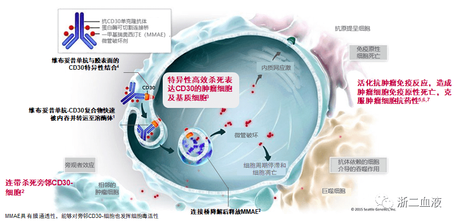 贝伐珠单抗4个月后赠药_贝伐单抗耐药性_贝伐单抗治疗肺鳞癌脑转移