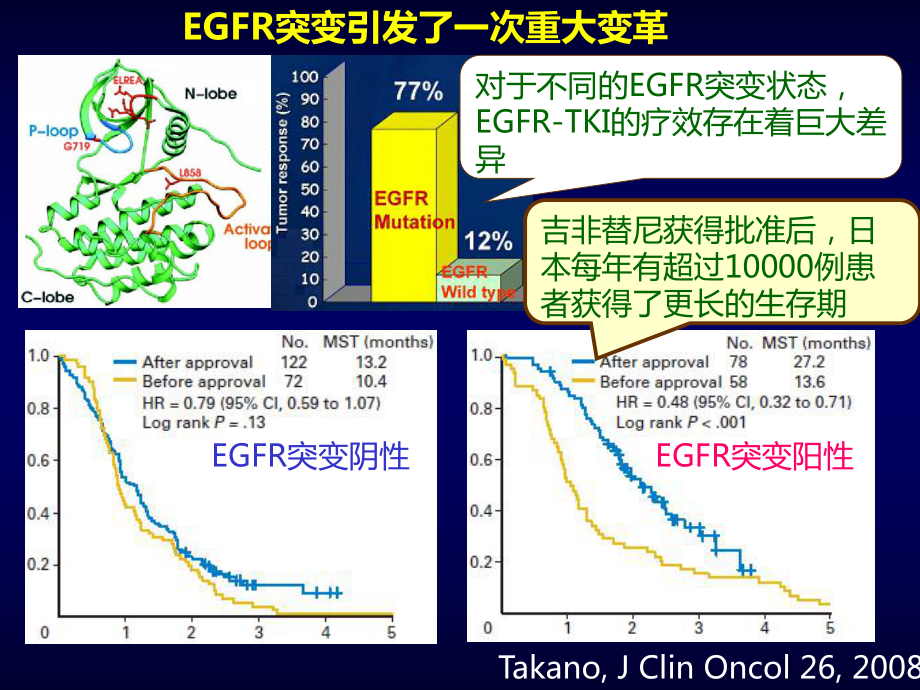 EGFR-TKIs受体酪氨酸激酶抑制剂如何应对晚期非小细胞肺癌？
