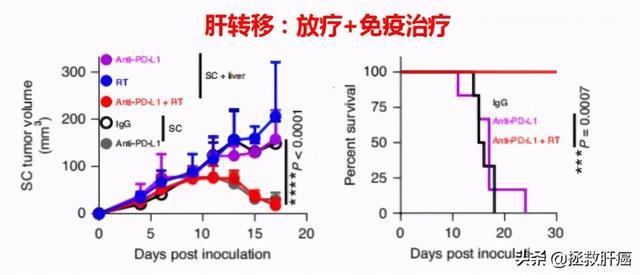 索拉非尼治疗直肠癌肝转移吗_肠癌转移肝可以活多久_肠癌转移肝靶向治疗