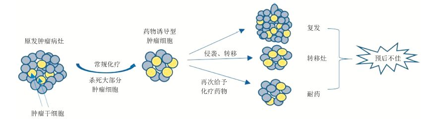 索拉非尼耐药后换索坦_奥希替尼耐药后pd1_甲磺酸奥希替尼片