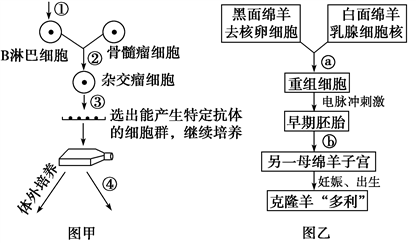 联合贝伐珠单抗药_贝伐珠单抗是化疗药吗_贝伐珠单抗是靶向药吗