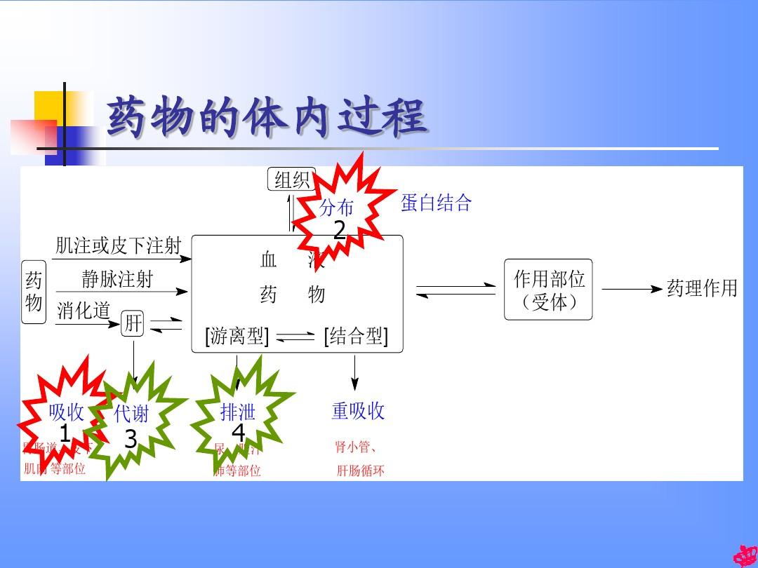 贝伐单抗疗效预测因子_贝伐单抗印度版_贝伐珠单抗是靶向药吗